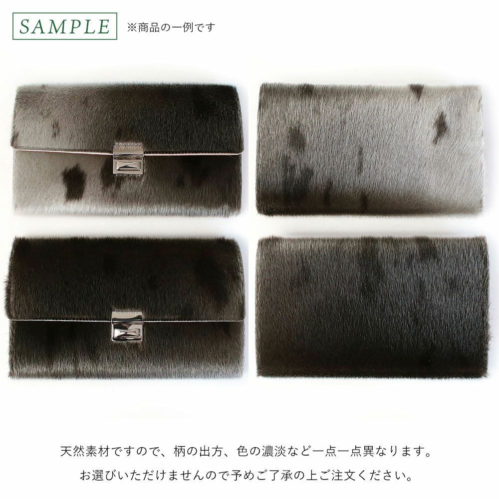 アザラシについて