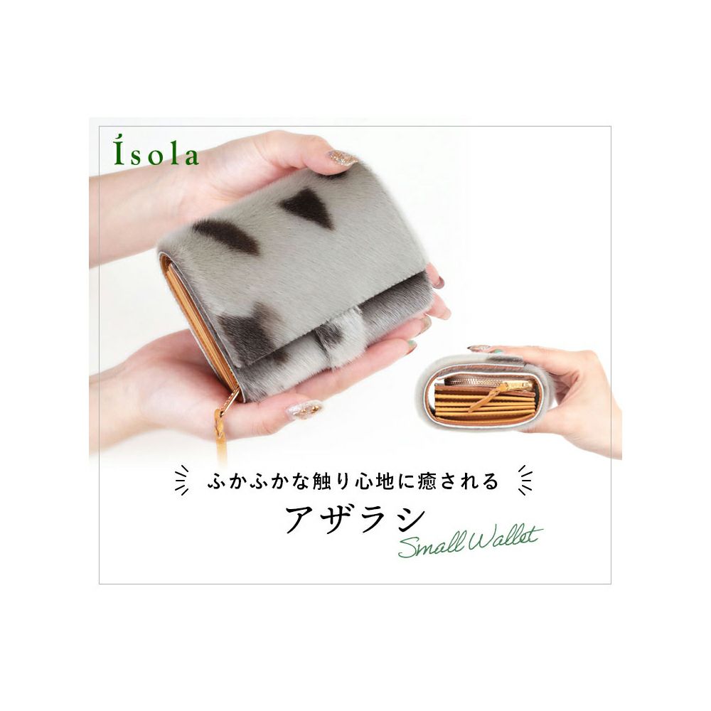 アザラシ_カプリ_メイン