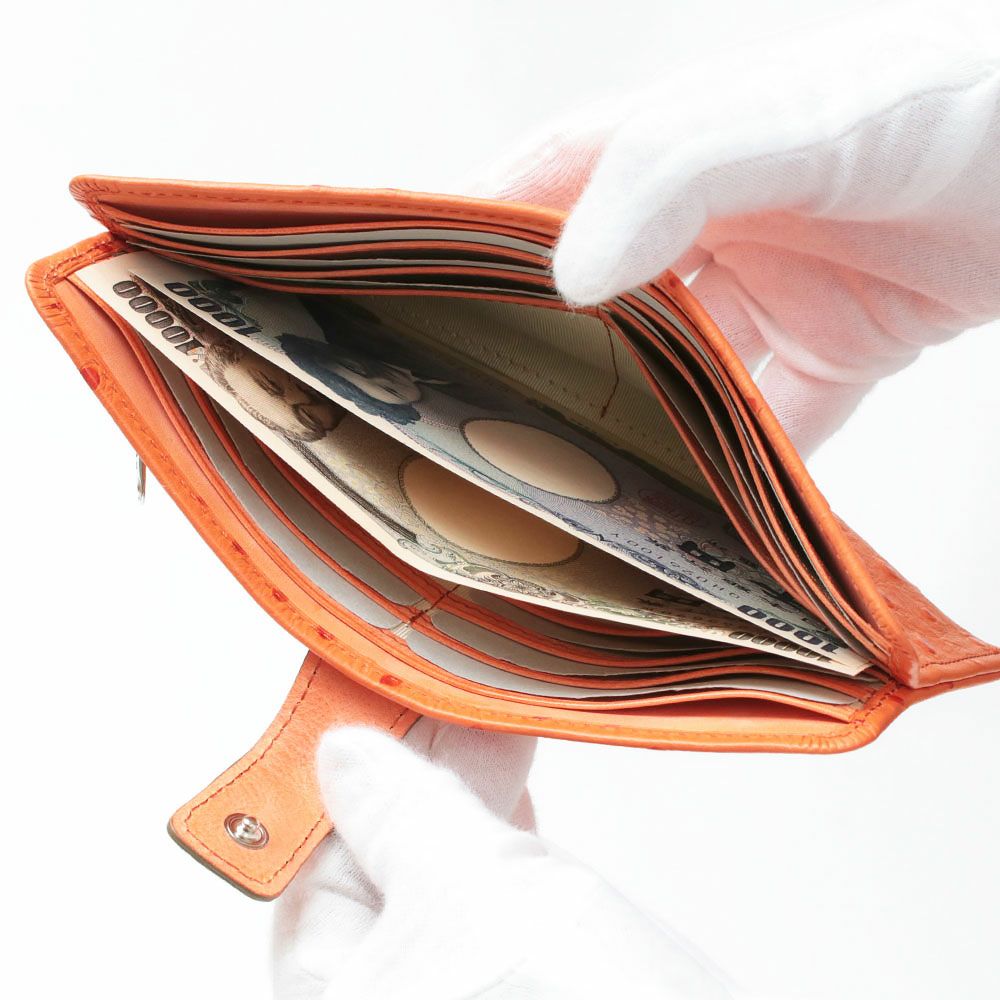 オースト_マヨルカ_内側