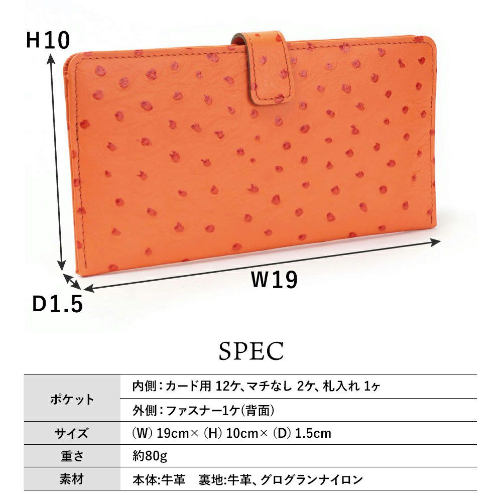 オースト_マヨルカ_サイズ