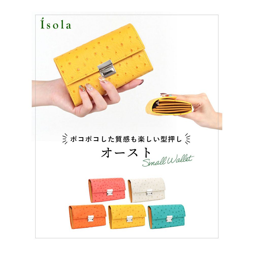 オースト_コルシカ_メイン