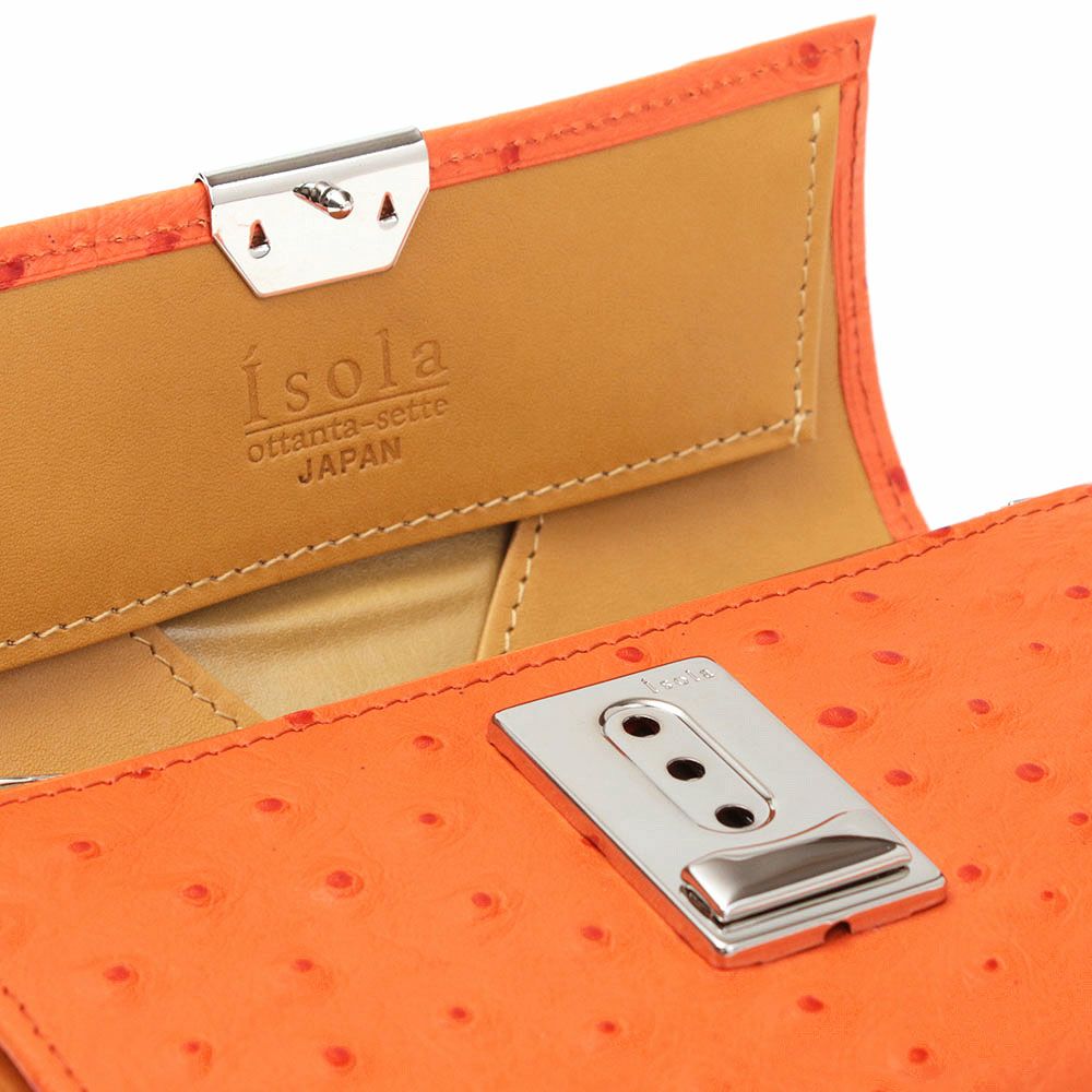 オースト_コルシカ_内側