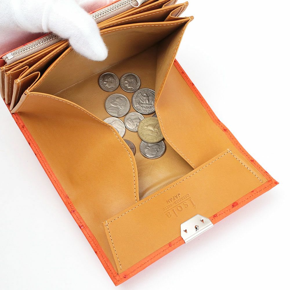 オースト_コルシカ_内側