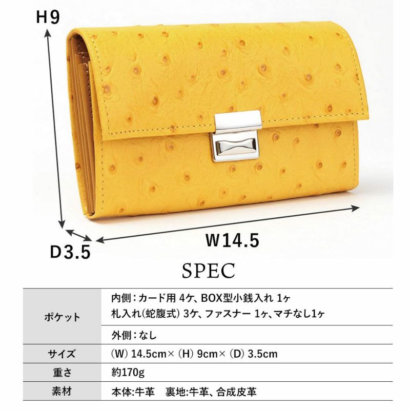 オースト_コルシカ_サイズ