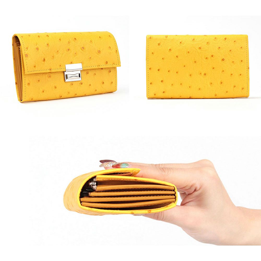 オースト_コルシカ詳細