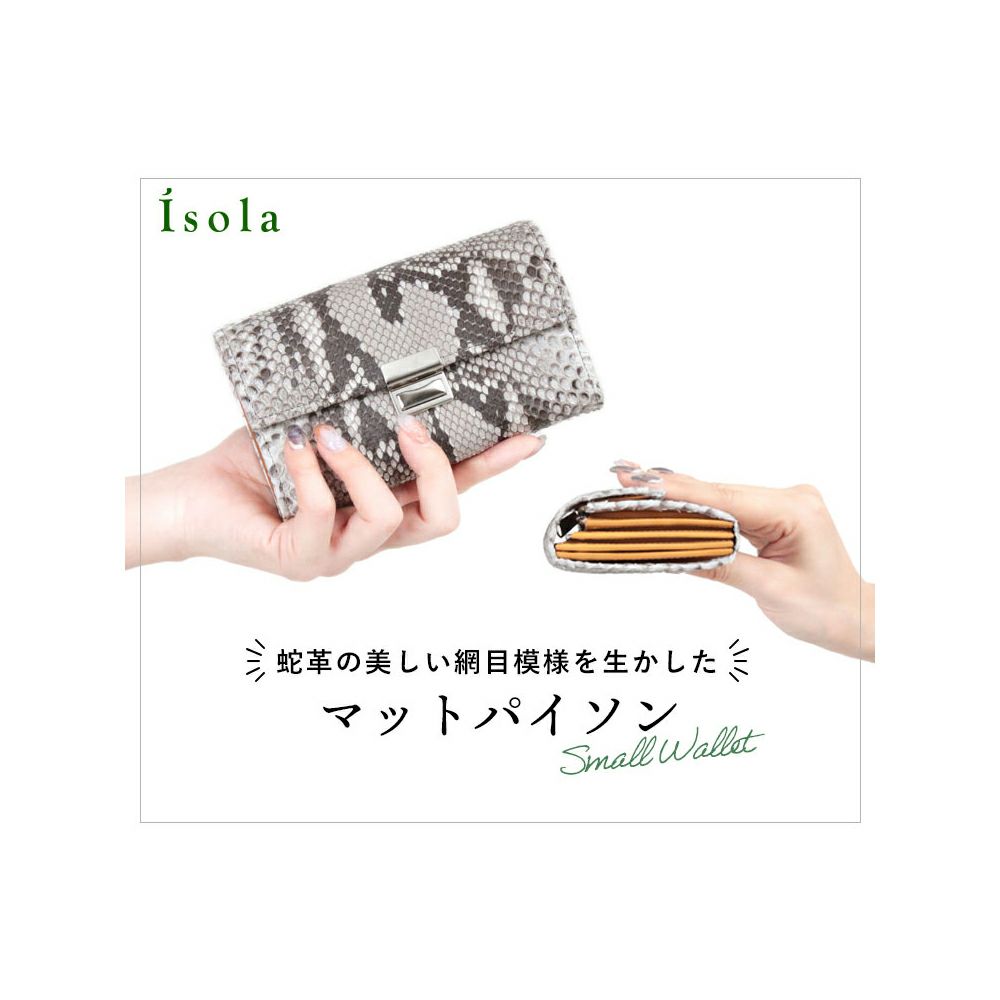 マットパイソン_コルシカ_メイン