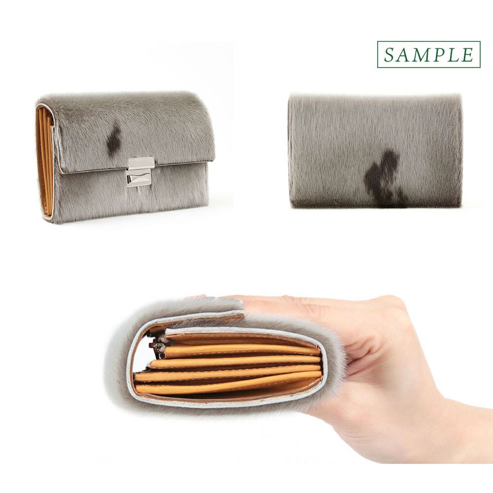 アザラシ_コルシカ_詳細