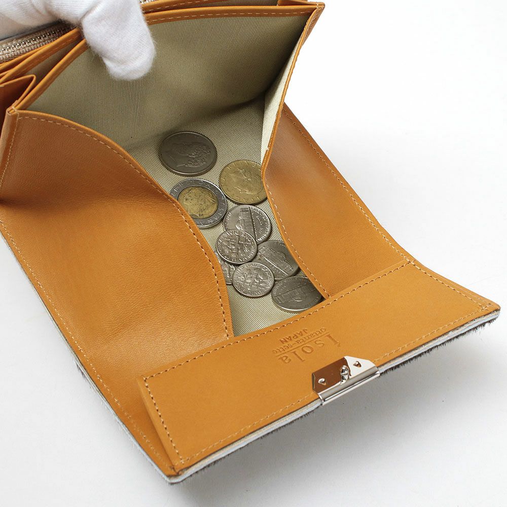 アザラシ_コルシカ_内側