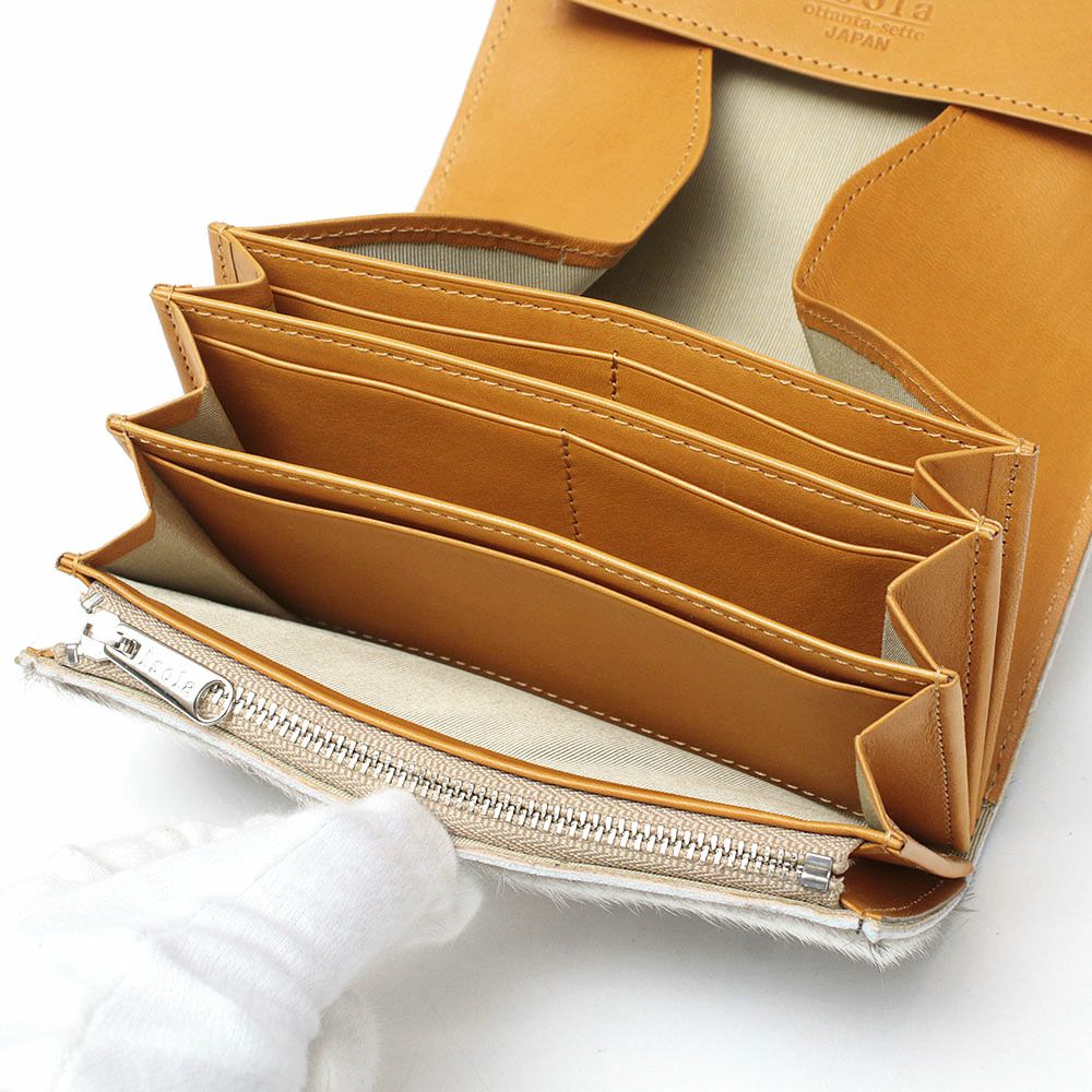 アザラシ_コルシカ_内側