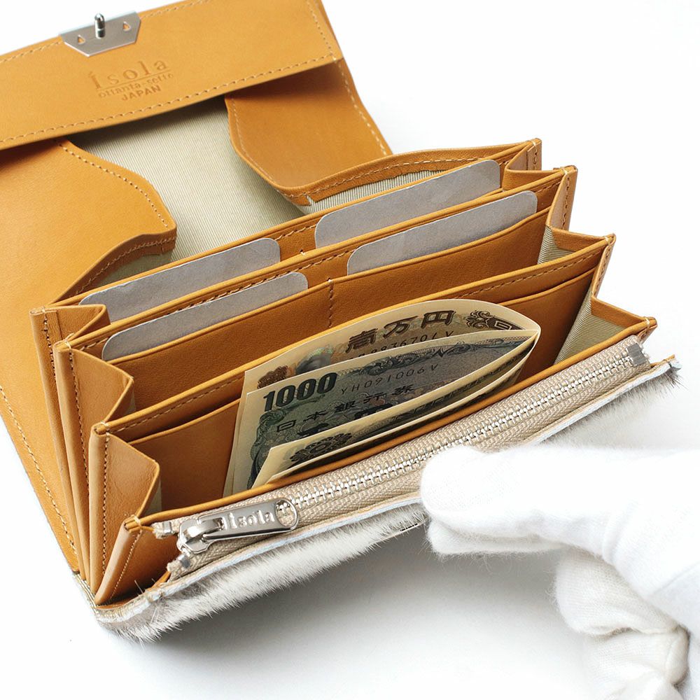 アザラシ_コルシカ_内側