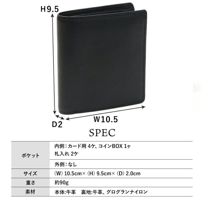 カリオカ_ザキントス_サイズ