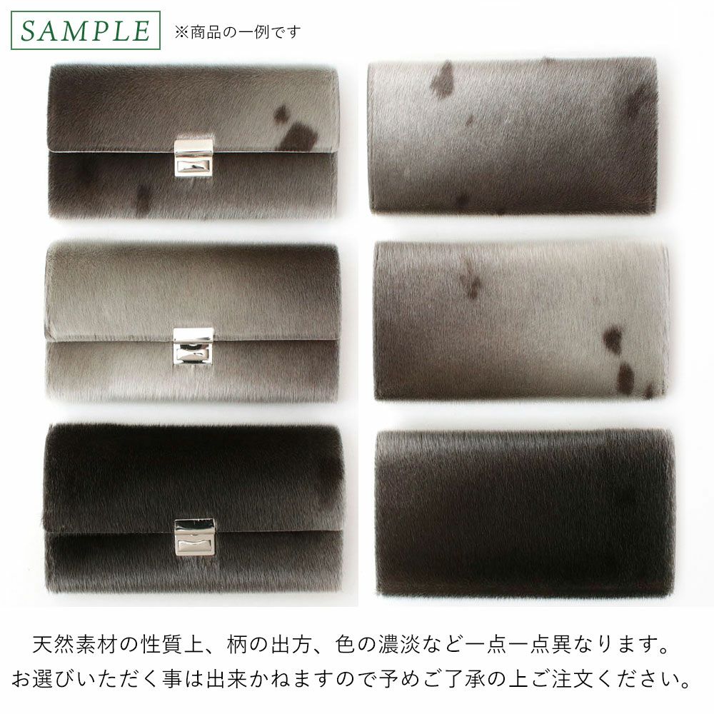 アザラシについて