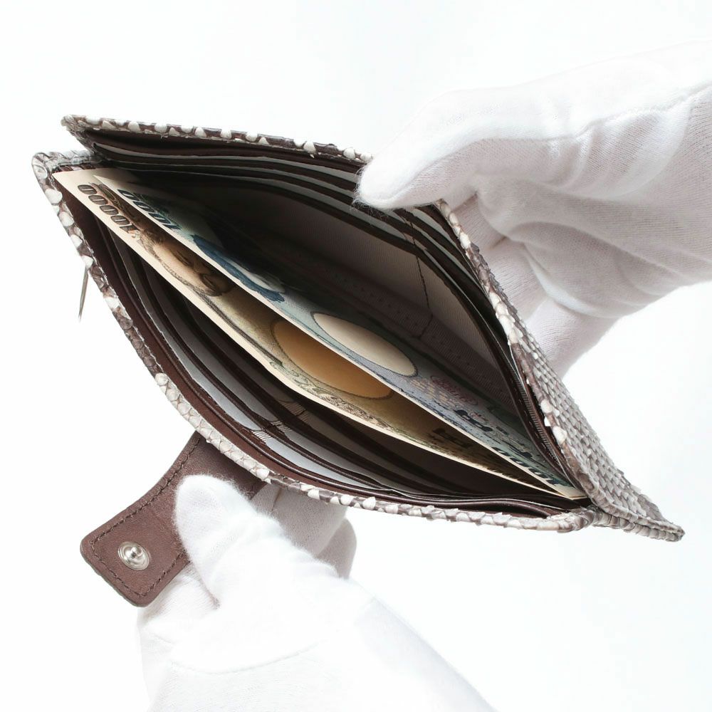 マットパイソン_マヨルカ_内側