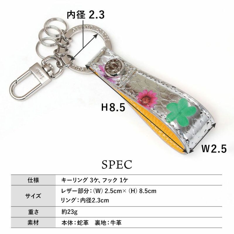 タカロア＿キーリング＿サイズ