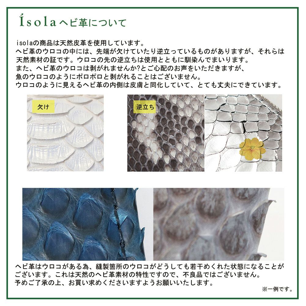 蛇について